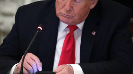 Donald Trump frowns while looking at his cell phone