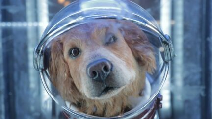 Cosmo the Space Dog Marvel Disney