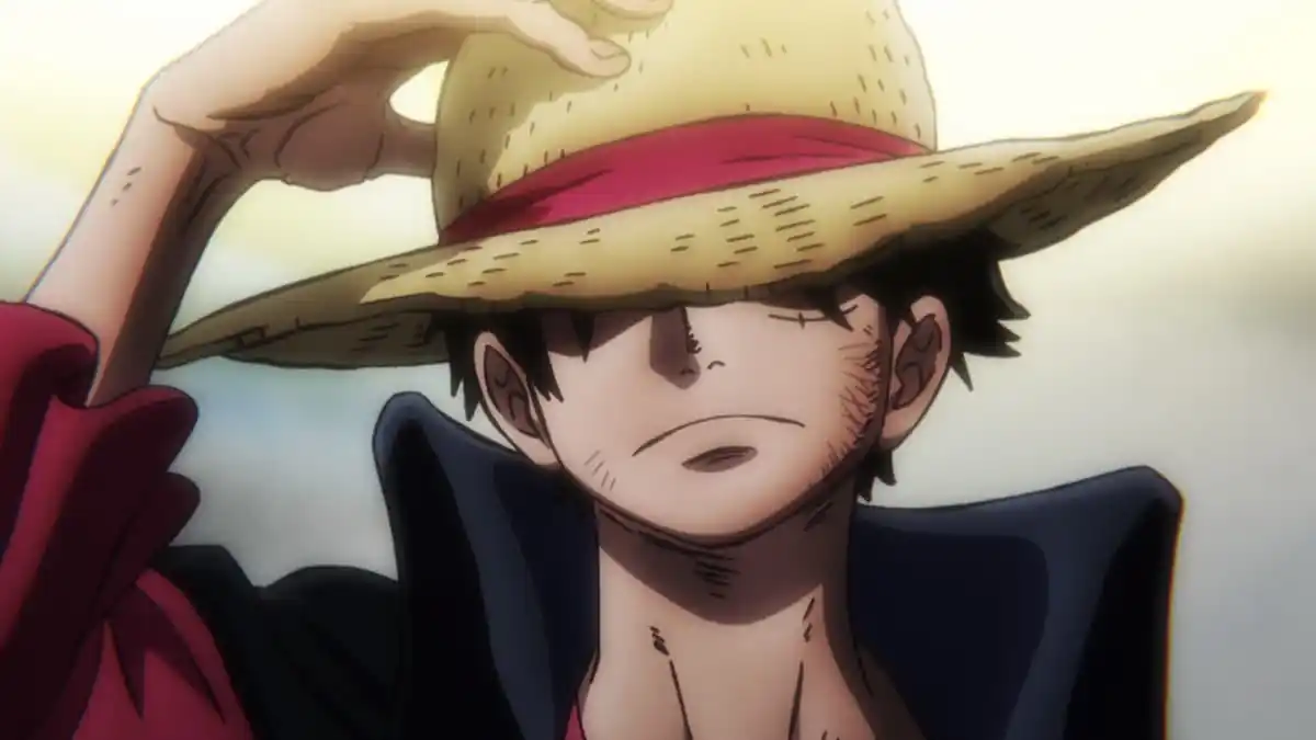 Monkey D. Luffy at the end of One Piece episode 1015