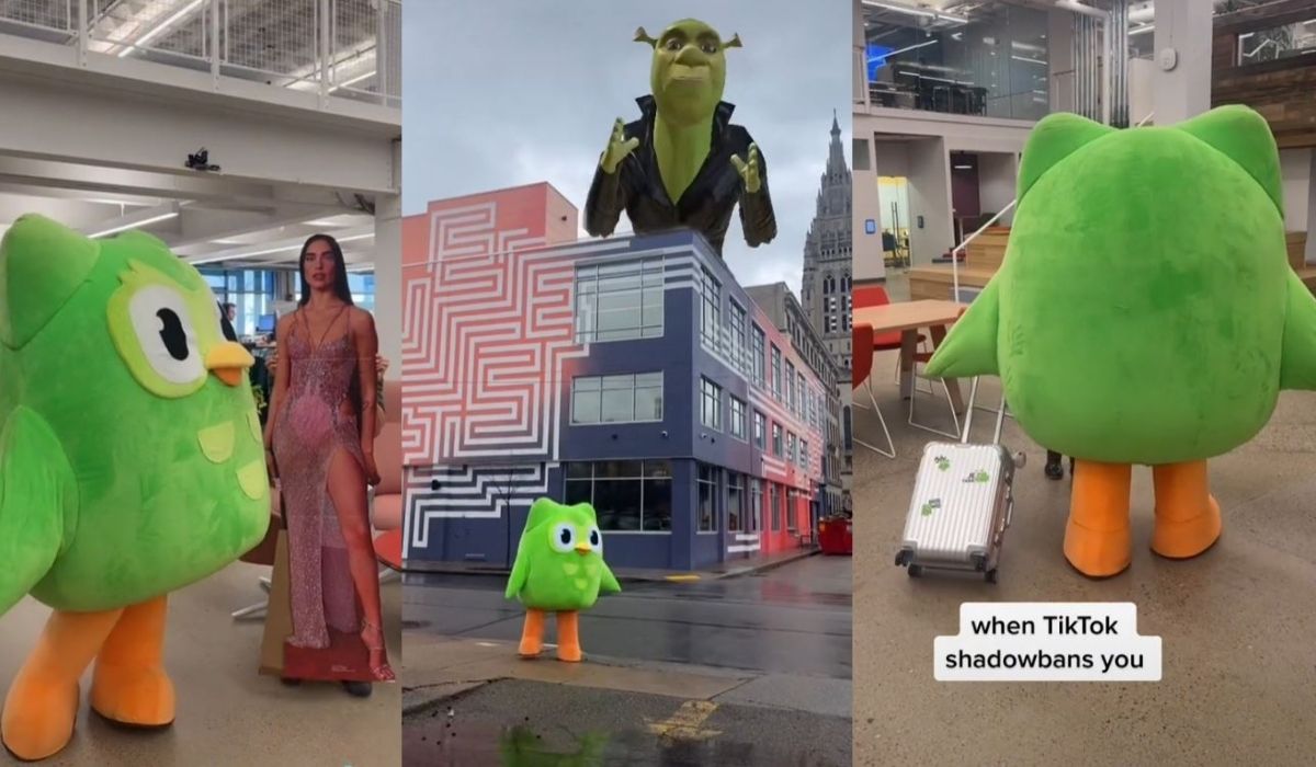 Duolingo next to cardboard cut out of Dua Lipa, an animation of leather bound Shrek, and walking away with referencing being shadowbanned. Image: screencaps from TikTok