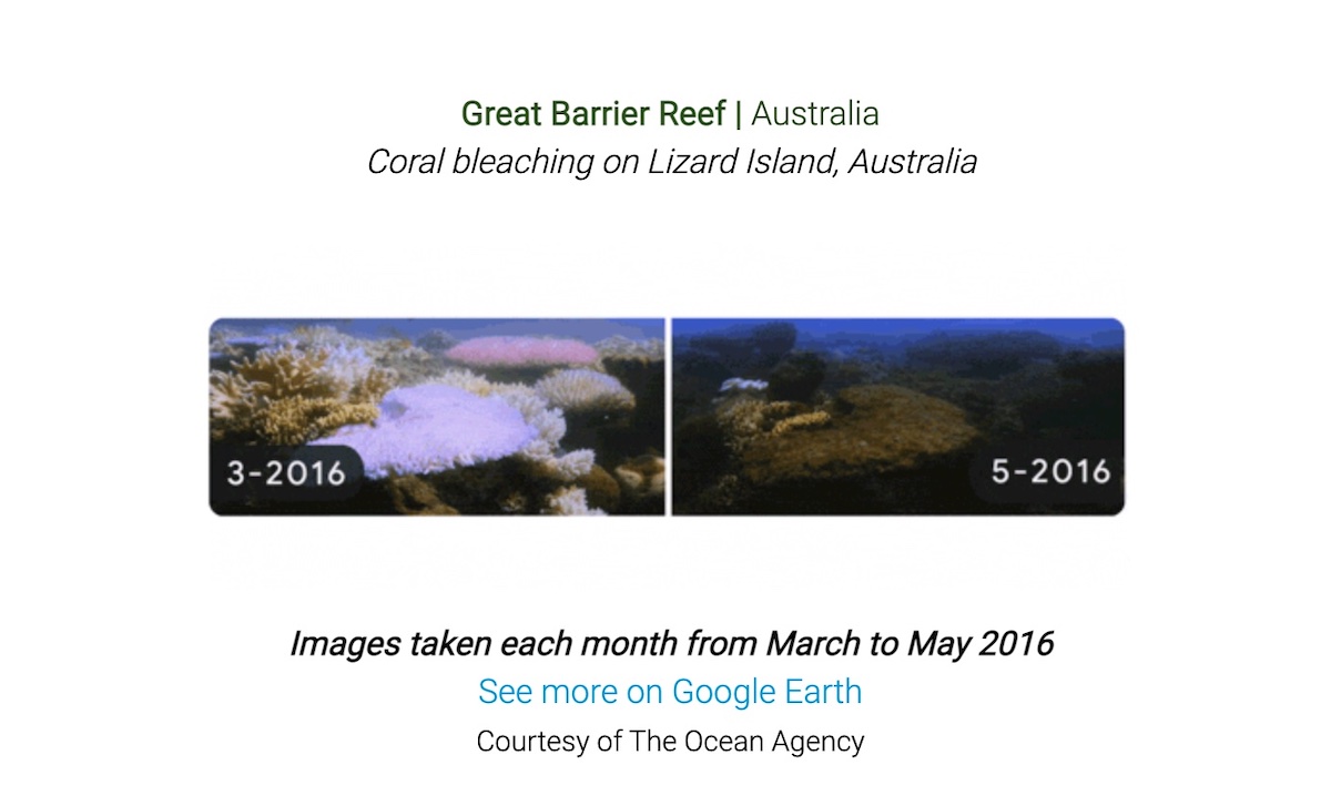 Google Earth Day 2022 doodle shows great barrier reef bleaching