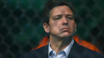 Ron Desantis looks curiously through a chain link fence