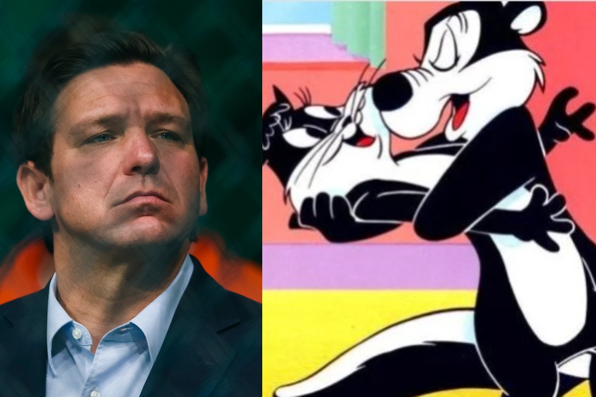 A split screen of Ron Desantis looking pensive next to an image of Pepe Le Pew grabbing a black and white cat in a non-consensual embrace