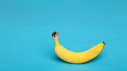 A single banana against a blue background