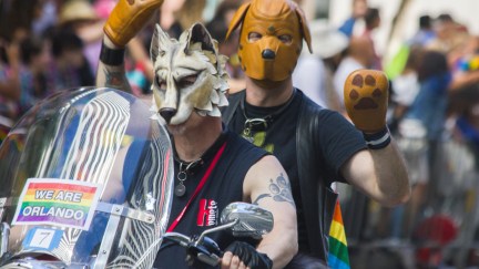 A wolf and dog in kinky gear travel down a parade to waving people in the background.