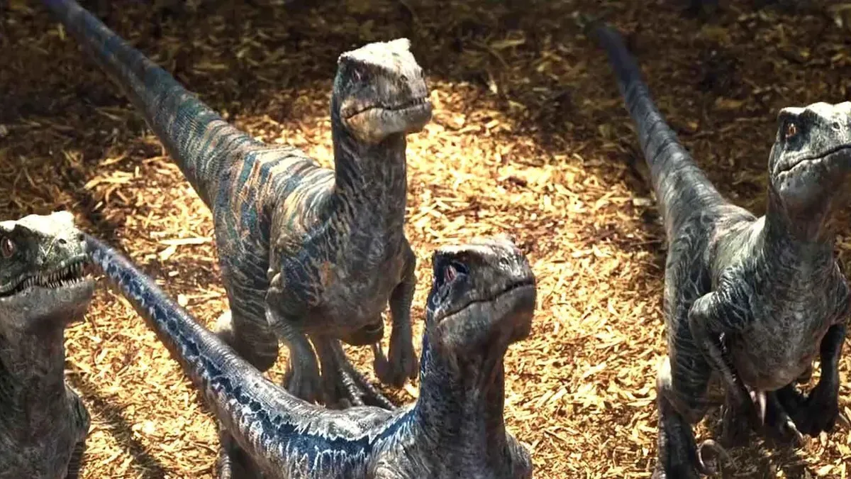 Velociraptors in Jurassic World