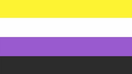 Non binary flag designed by Kye Rowan. Image: Creative Commons.