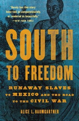 South to Freedom: Runaway Slaves to Mexico and to the road to the Civil War by Alice L. Baumgartner (Image: Basic Books.)