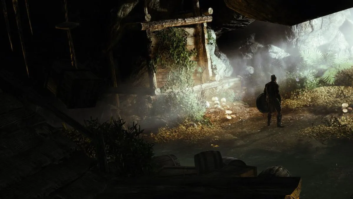 A man emerges from a dark cavernous area into a ray of light in a forested environment in the game 'Enderal'