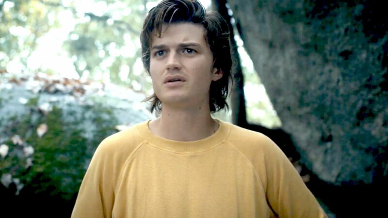 Did Steve Harrington Die in 'Stranger Things' Season 4 Volume 2? | The