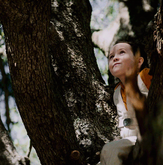 Leia in a tree in 'Obi-Wan Kenobi'