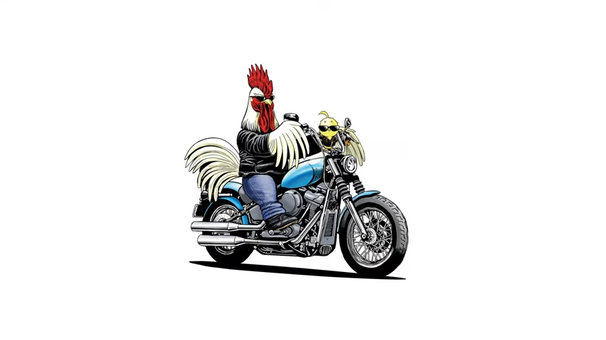 Rooster on a motorcycle