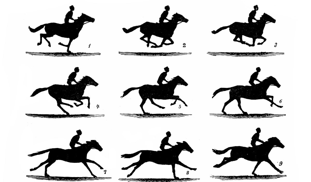 Illustration of The Horse in Motion by Eadweard Muybridge