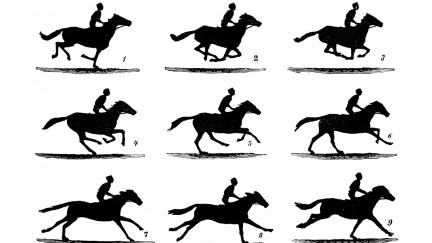 Illustration of The Horse in Motion by Eadweard Muybridge
