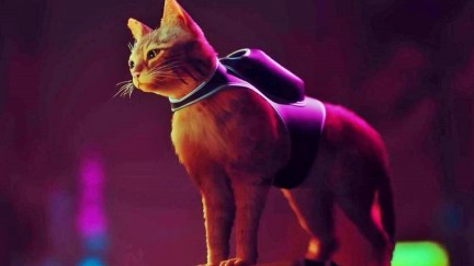 An orange cat from the video game 'Stray'