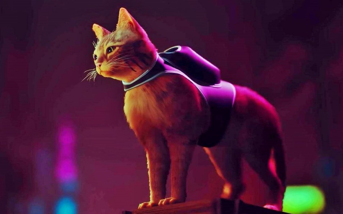 An orange cat from the video game 'Stray'