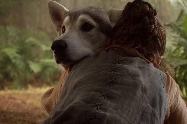 Game of Thrones Arya Stark Direwolf Nymeria