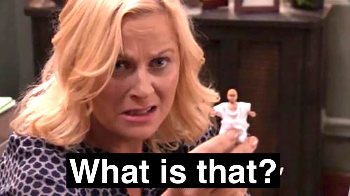 Leslie Knope holding up a weird little doll and saying 