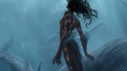 Black mermaid looking up at the surface and swimming in front of whales. One of the covers for 