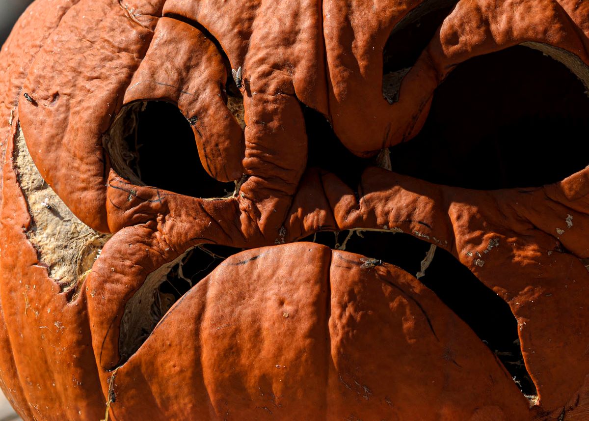 frowning rotting jack'o'lantern