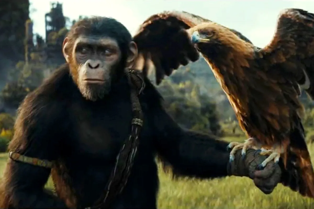 A young ape in Kingdom of the Planet of the Apes