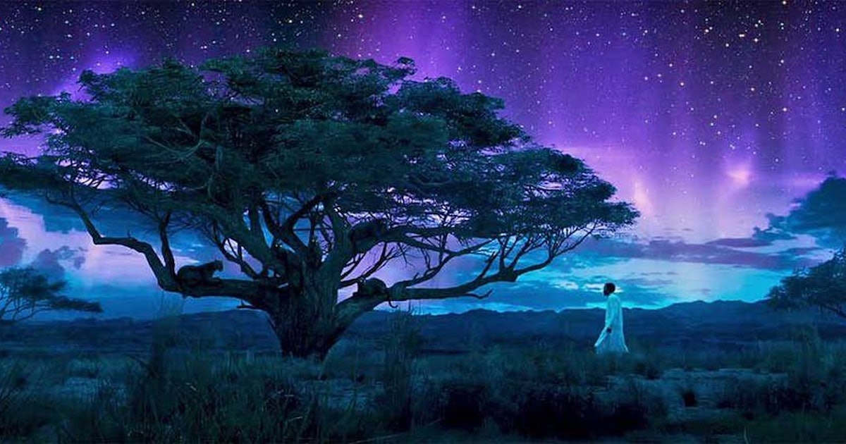 What Is The Heart Shaped Herb What Is The Heart Shaped Herb