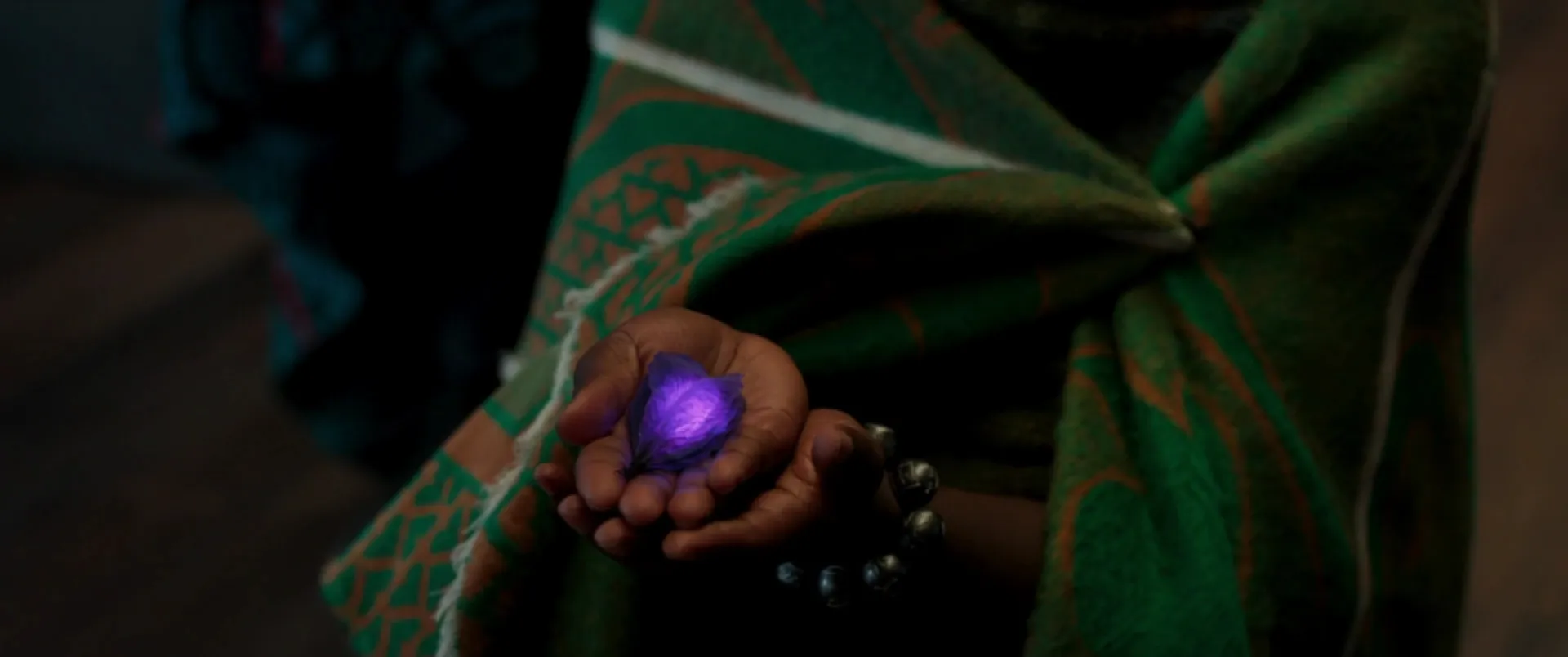 The heart-shaped herb in Black Panther