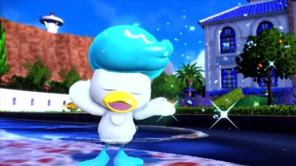 Image of Quaxly, the clearly superior starter Pokemon in Pokemon Scarlet & Silver.