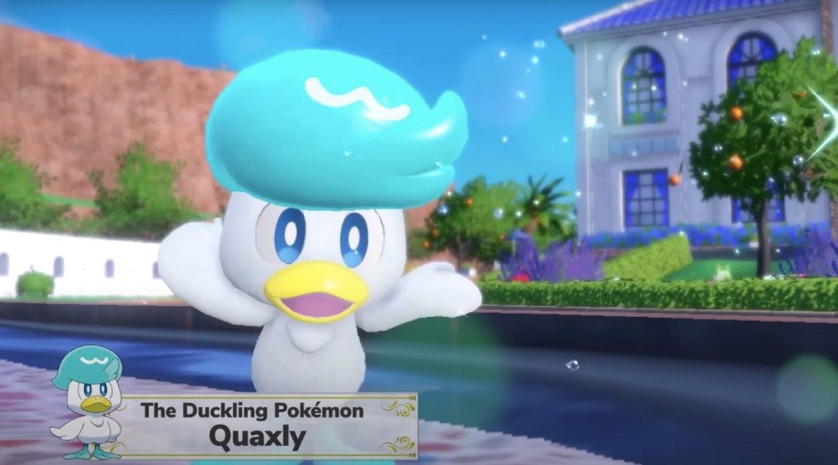 Quaxly in Pokemon Scarlet & Violet