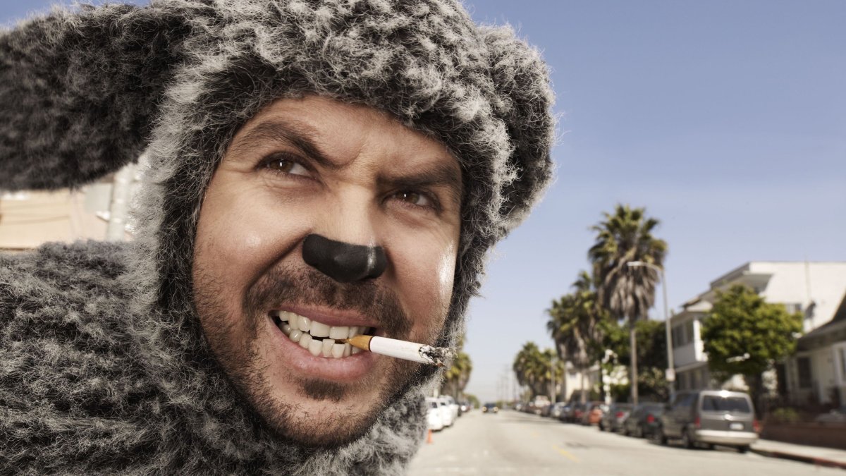 Wilfred, the dog from Wilfred, the TV series