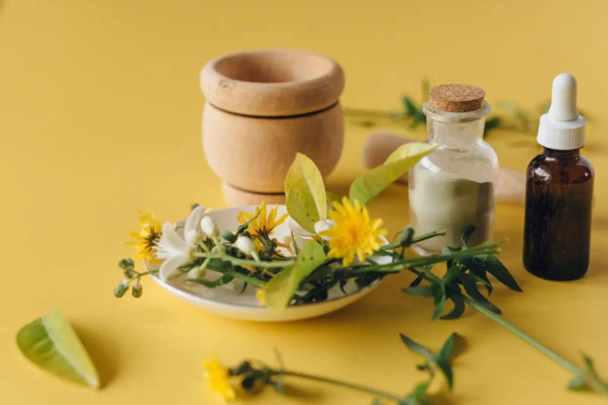 Herbs and tinctures against a yellow background.