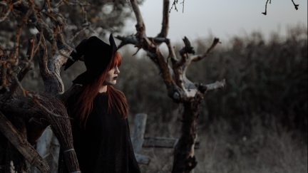 A woman in a witch's hat with a broom stands in the woods.