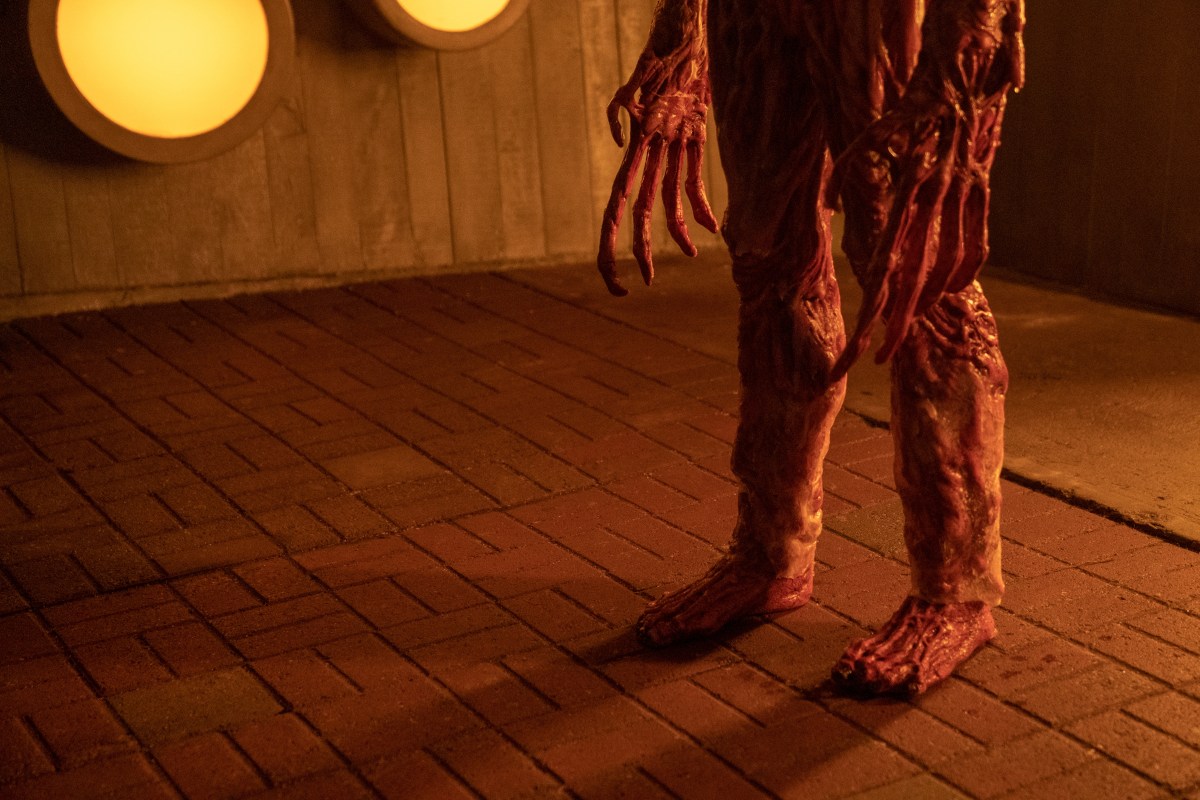 entity in cabinet of curiosities