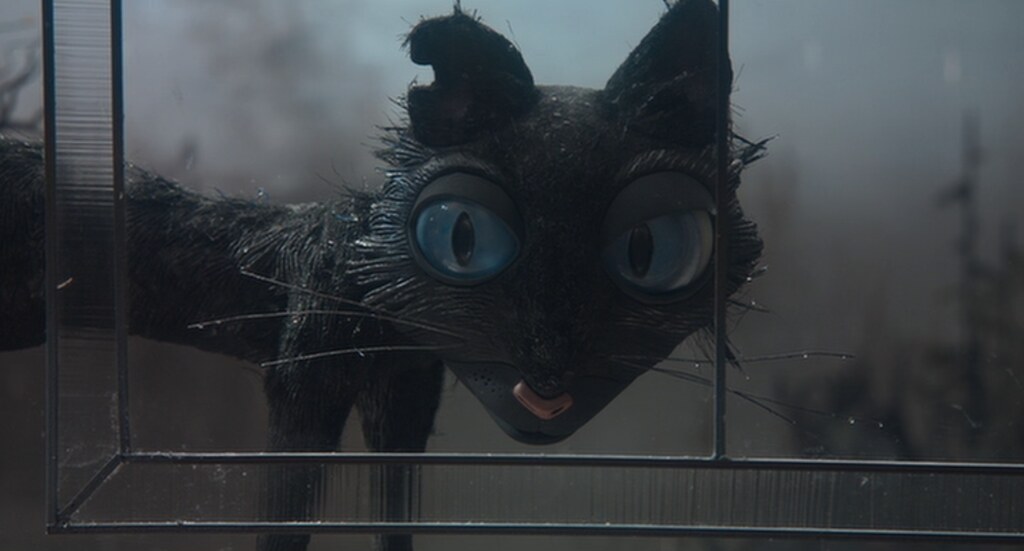 The best lil stop motion kitty, the Cat from 'Coraline'
