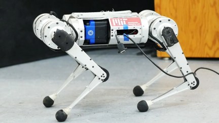 cheetah robot from MIT