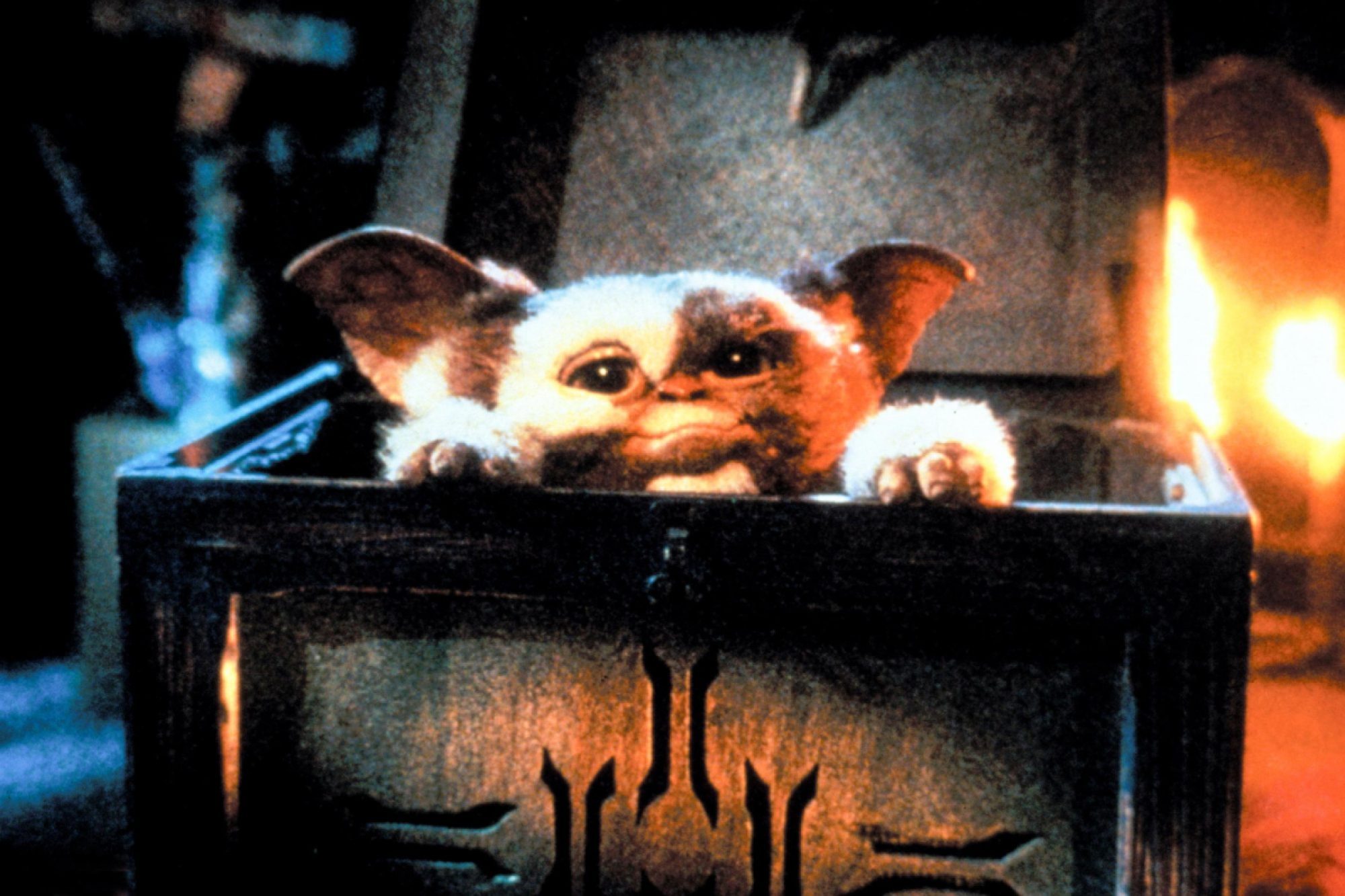 Gizmo looking so cute in Gremlins