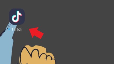 How To Have No Profile Pic on Your TikTok Profile The Mary Sue