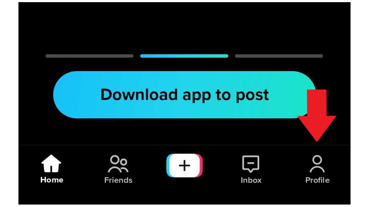 Download Tiktok Blank Profile Pictures