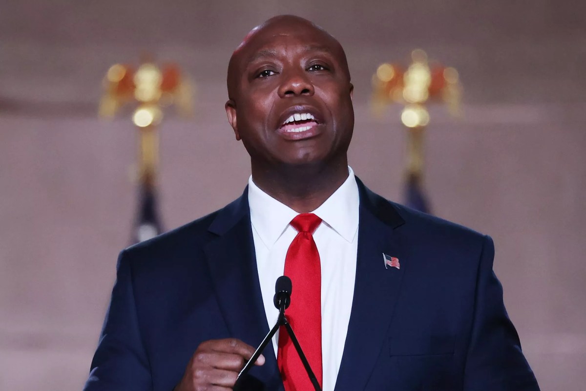 Go home Tim Scott
