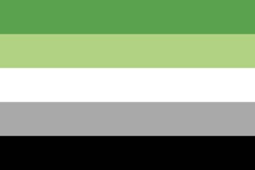 Aromantic Pride flag: Green stripes fade into white, gray, and black stripes