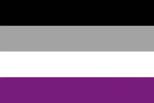 Asexual Pride flag: black, gray, white, and purple stripes
