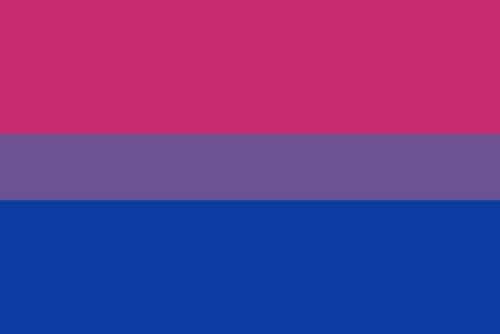 Bisexual Pride flag: pink, purple, and blue stripes