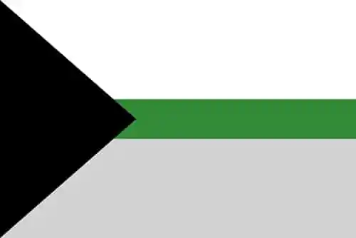 Demiromantic Pride flag: A black triangle on the right with a white, green, and gray stripe across