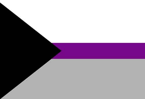 Demisexual Pride flag: A black triangle on the left with a white, purple, and gray stripe across