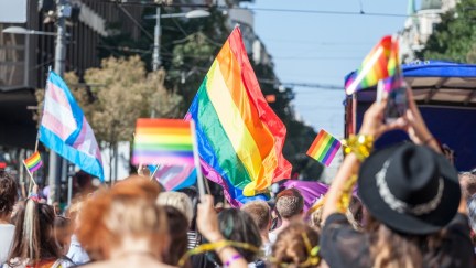 A crowd of people raising various LGBTQ pride flags.