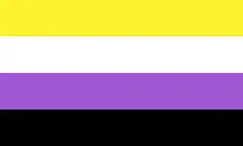 Non-binary pride flag: yellow, white, purple, and black stripes