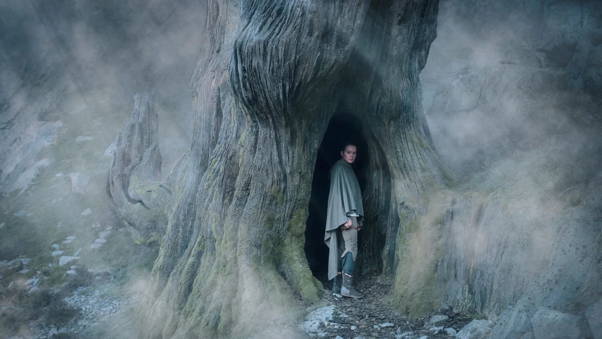 A wide shot of Rey from Star Wars, played by Daisy Ridley, standing in the hollow of a tree