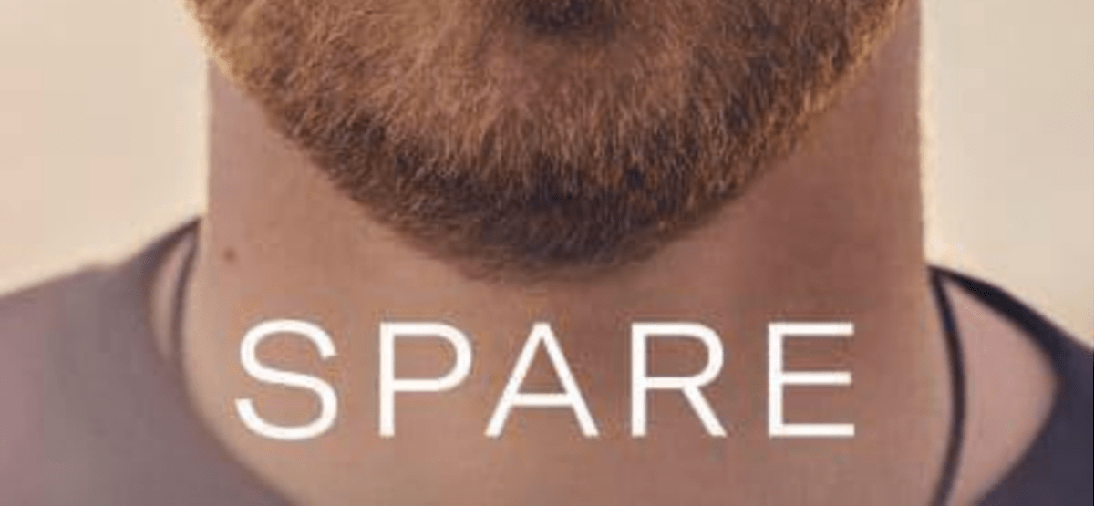 Prince Harry's chin with a close cropped ginger beard, his neck and then the word spare in white capitalised text