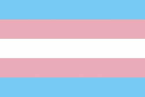 Transgender pride flag: light blue, pink, and white stripes