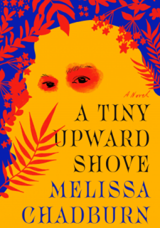 A Tiny Upward Shove by Melissa Chadburn